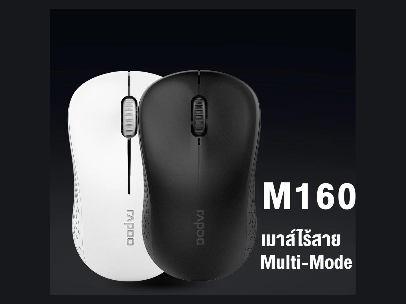 Rapoo M160